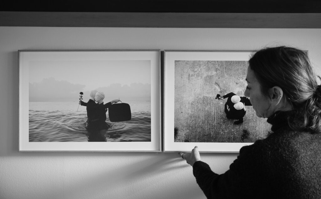 auliak collectors auliak collectors