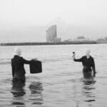 Entegonia S/N #11 Entegonia S/N #11