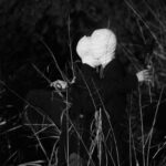 Entegonia S/N #8 Entegonia S/N #8