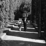 TWN_6 S:N 10